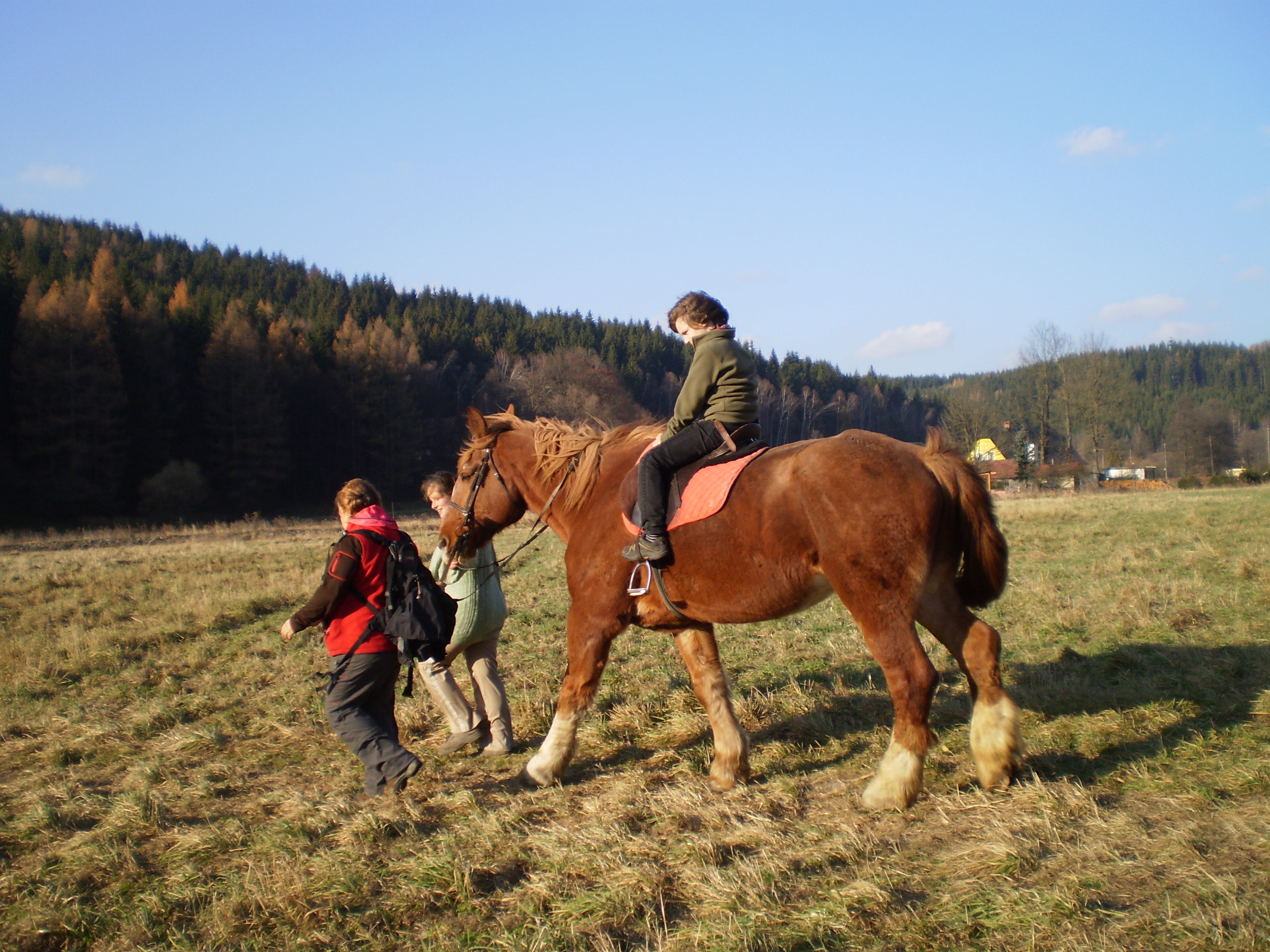 Hospodářství u Helenky (10)