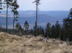 obri-vrch--1-.jpg